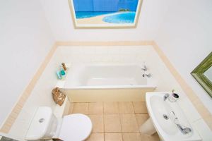 Photo 5- click for photo gallery